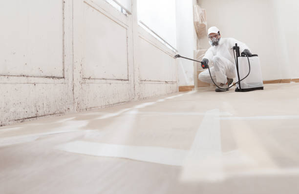 24/7 Emergency Mold Remediation experts in Clifton, TN